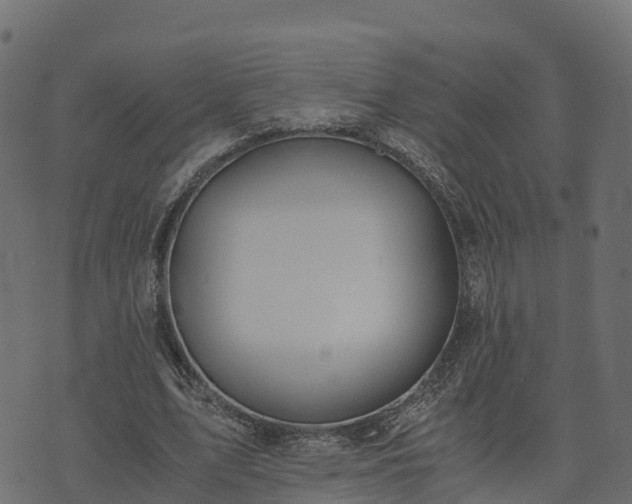 X0000073920583200608181051