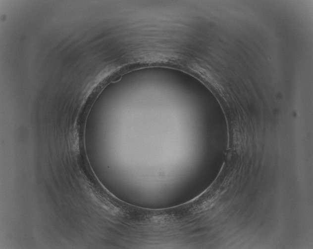 X0000073920584200608181051