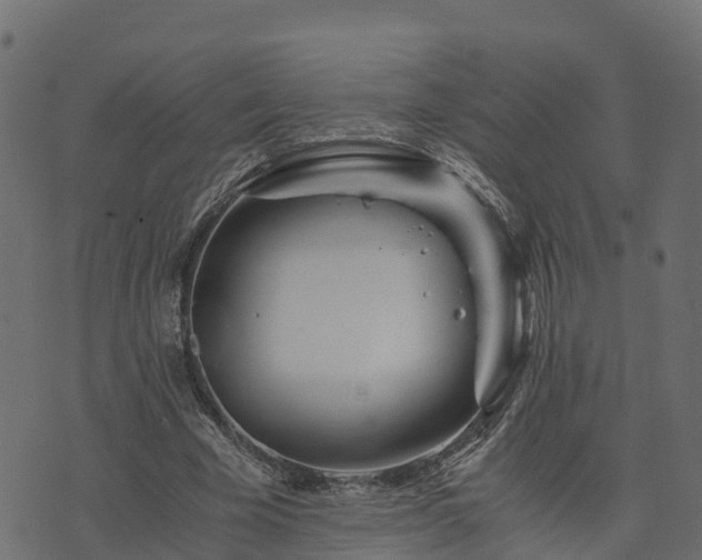 X0000073920585200608181051