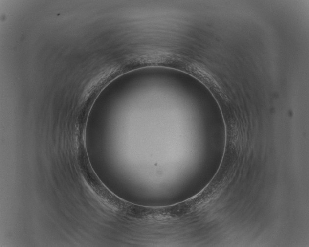 X0000073920586200608181051