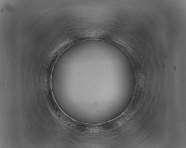 X0000073920587200608181051