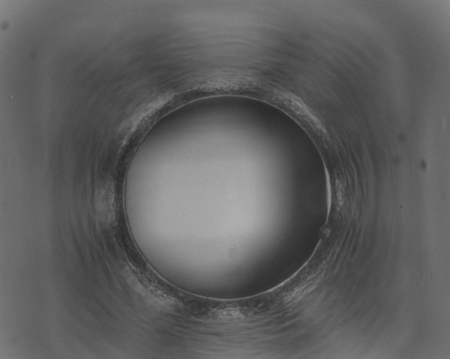 X0000073920588200608181051