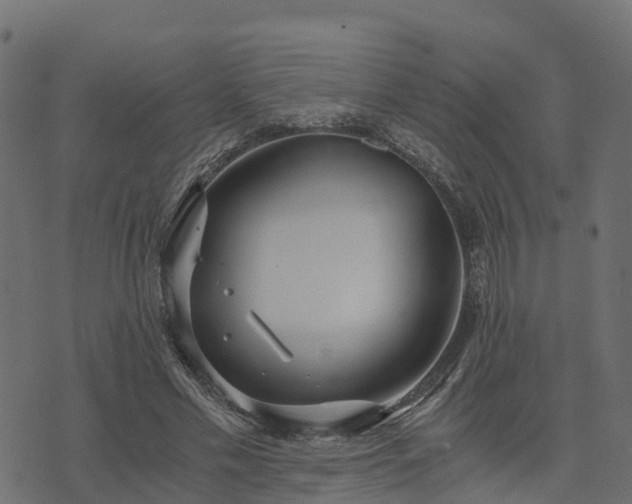 X0000073920589200608181051