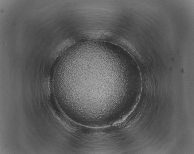 X0000073920590200608181051