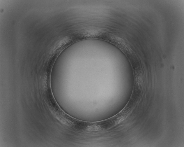 X0000073920591200608181051