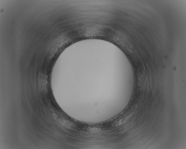 X0000073920592200608181051