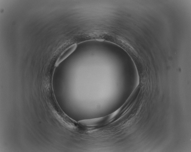 X0000073920593200608181051