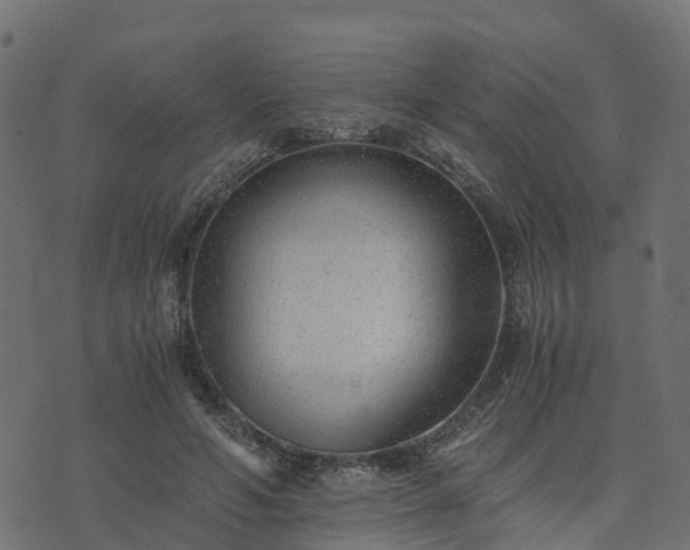 X0000073920594200608181051