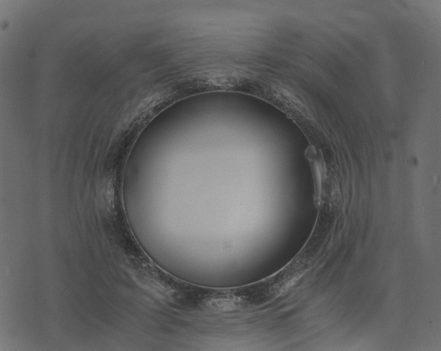 X0000073920595200608181051