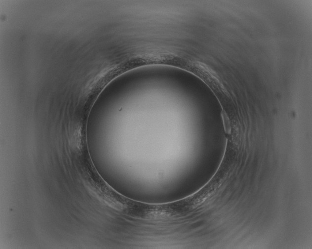 X0000073920596200608181051