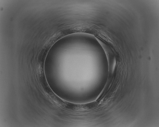 X0000073920597200608181051