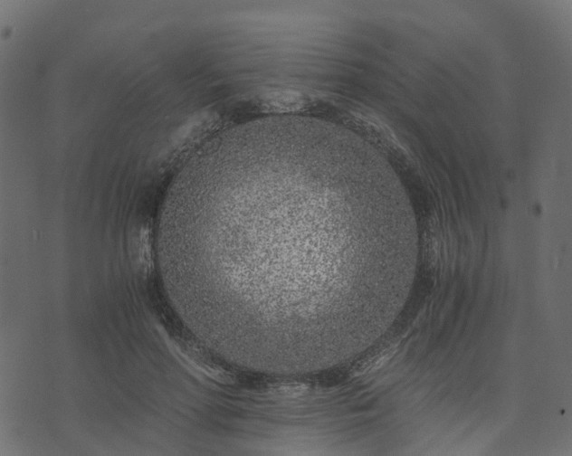 X0000073920598200608181051