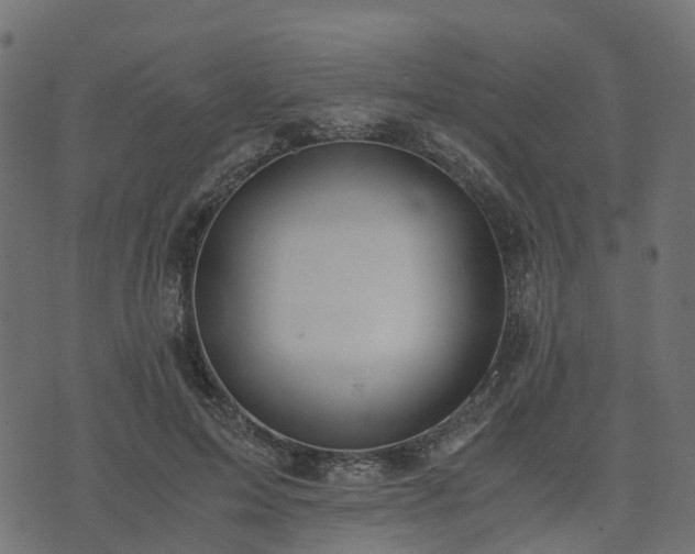 X0000073920599200608181051