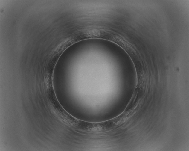 X0000073920600200608181051