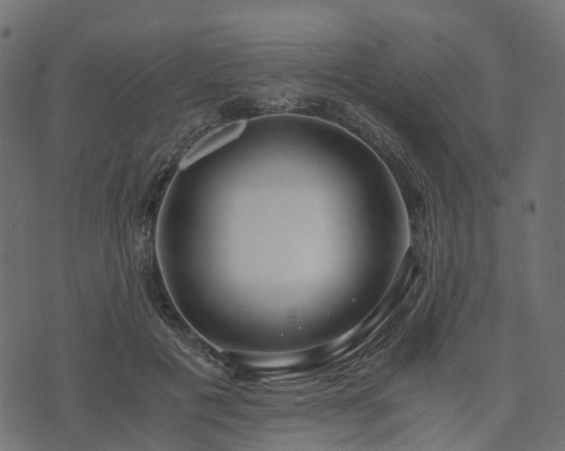 X0000073920601200608181051