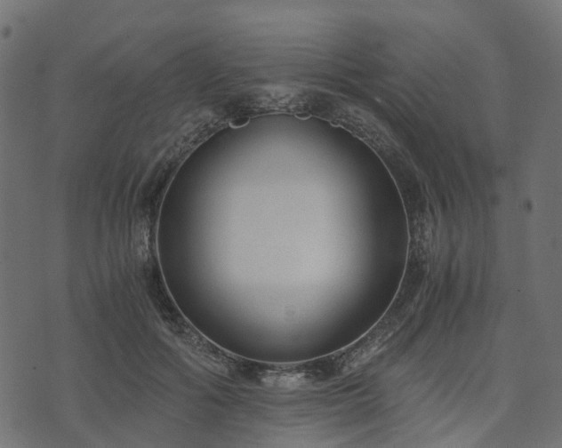 X0000073920602200608181051