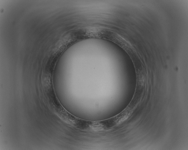 X0000073920603200608181051