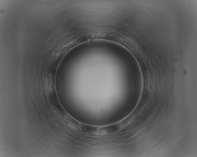 X0000073920604200608181051