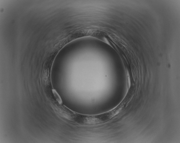 X0000073920605200608181051