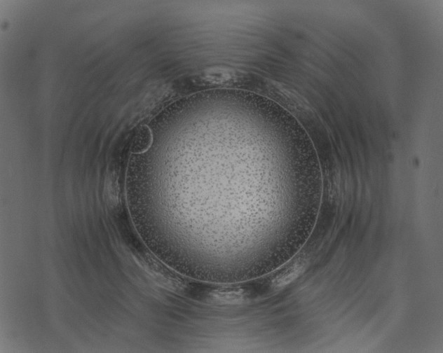 X0000073920606200608181051