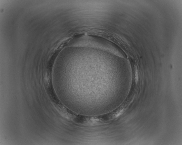 X0000073920607200608181051