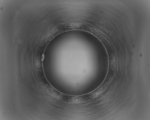 X0000073920608200608181051