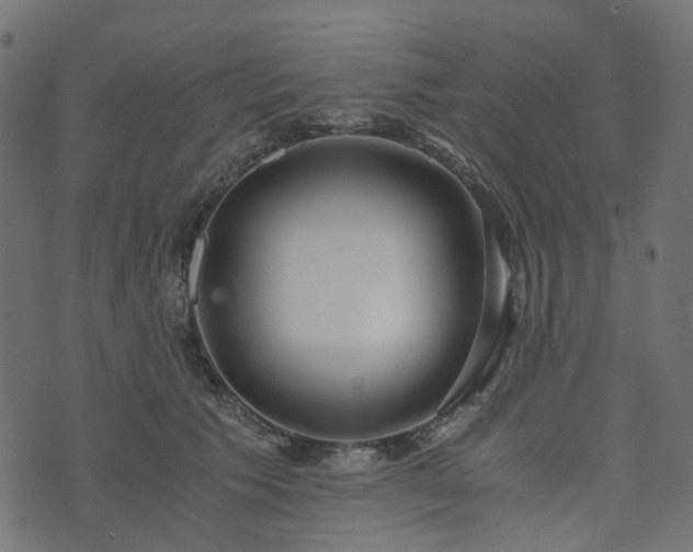 X0000073920609200608181051