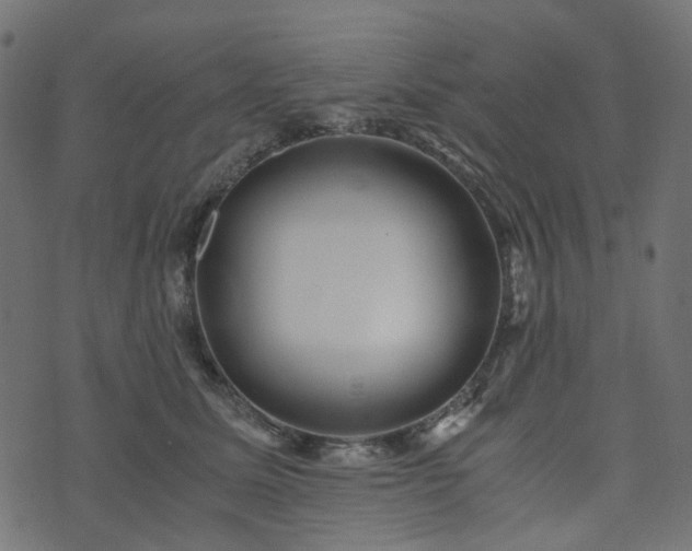 X0000073920611200608181051