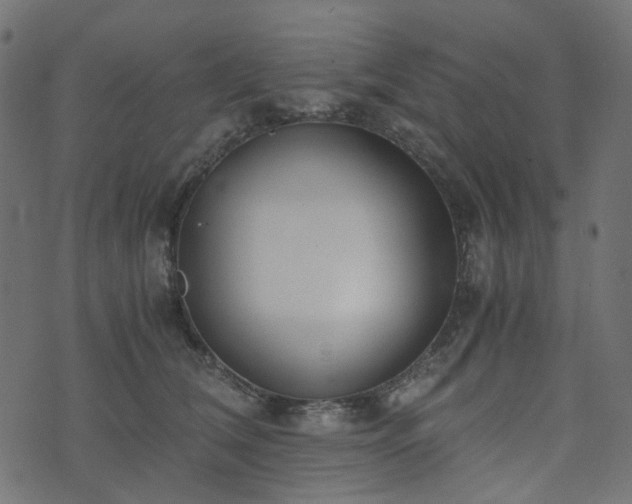 X0000073920612200608181051