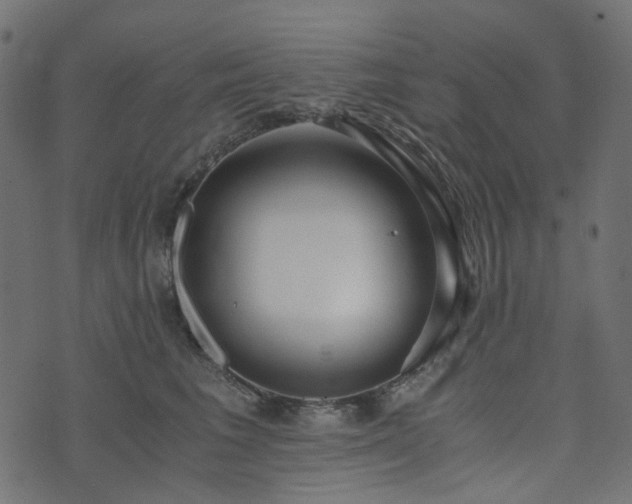 X0000073920613200608181051