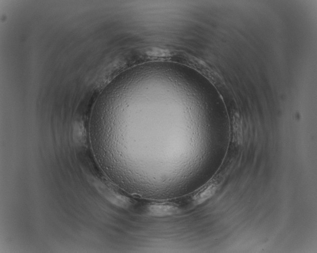 X0000073920614200608181051