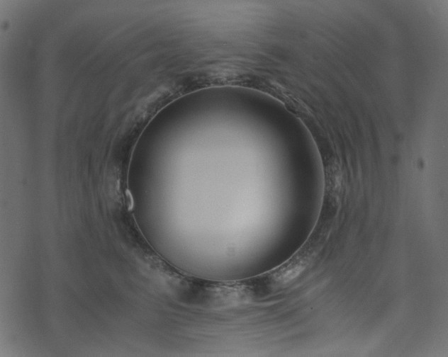 X0000073920615200608181051