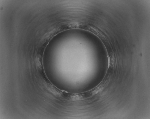 X0000073920616200608181051