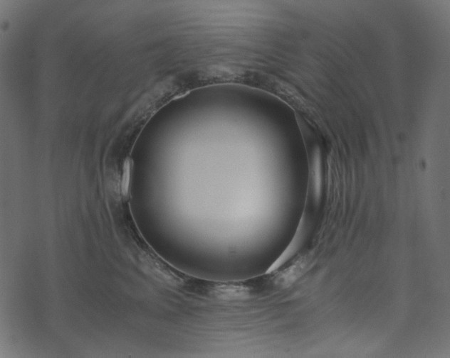 X0000073920617200608181051