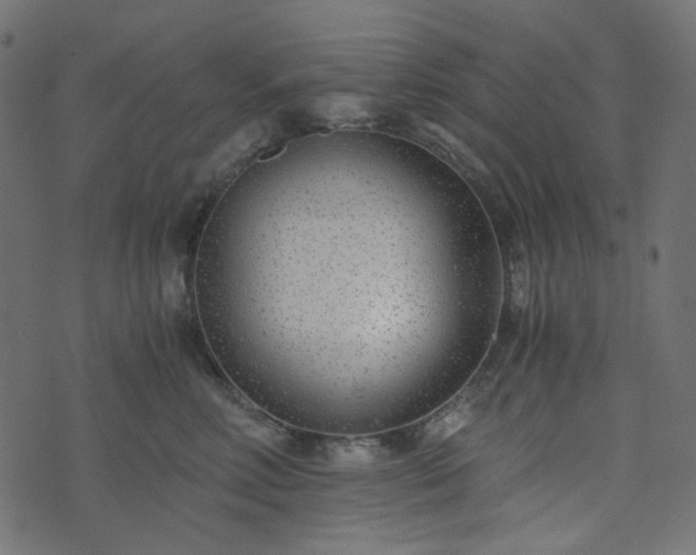 X0000073920618200608181051