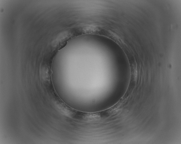 X0000073920619200608181051