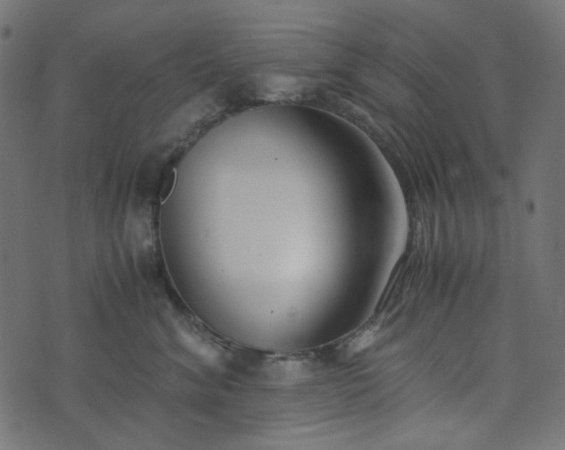 X0000073920620200608181051