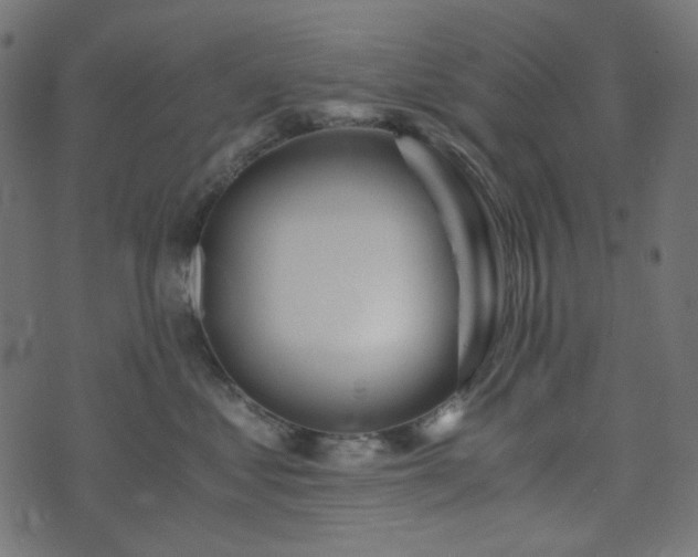 X0000073920621200608181051