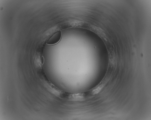 X0000073920622200608181051