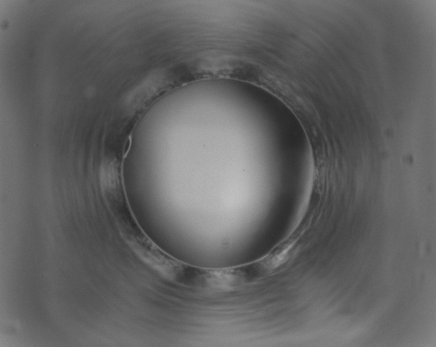 X0000073920623200608181051