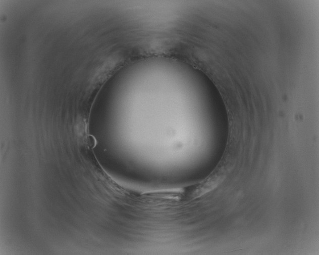 X0000073920624200608181051