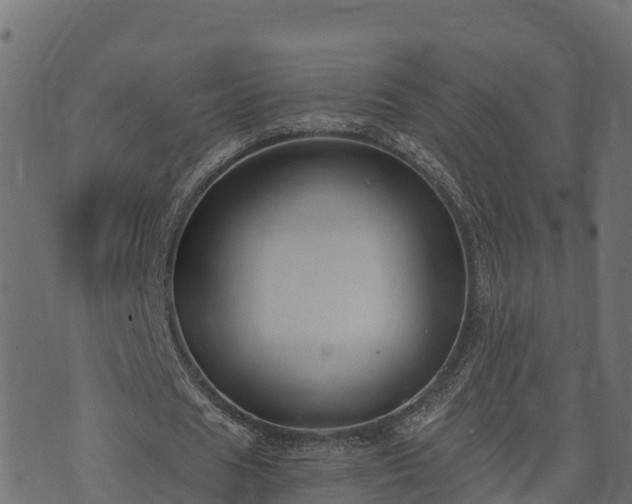 X0000073920625200608181050