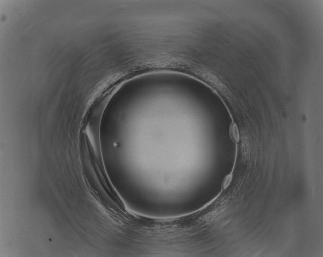 X0000073920626200608181050