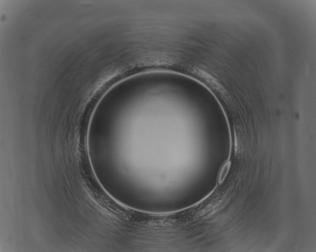 X0000073920627200608181050