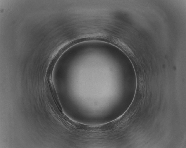 X0000073920628200608181050