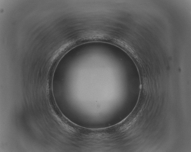 X0000073920629200608181050