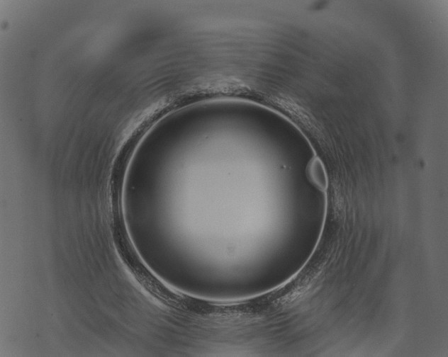 X0000073920630200608181050