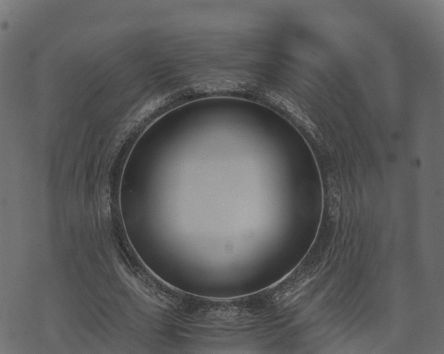 X0000073920631200608181050