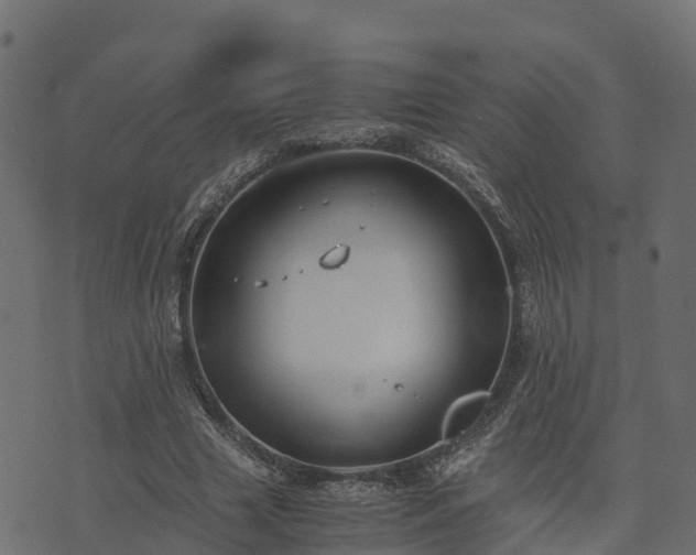 X0000073920633200608181050