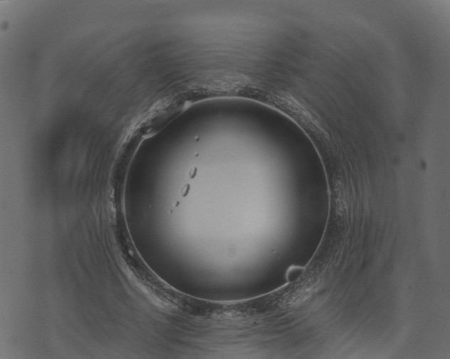 X0000073920634200608181050